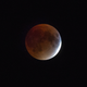 Superluna de sangre que se vio en Canadá en septiembre de 2015. Foto: Dany_M/Flickr.